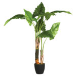 Φυτό σε γλάστρα Jovan 125x100x124εκ