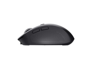 MOUSE WRL TRUST OZAA COMPACT 24819