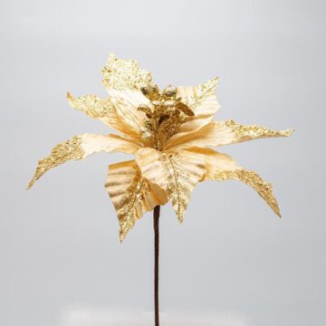 ΑΛΕΞΑΝΔΡΙΝΟ