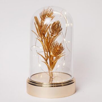 ΠΛΑΣΤΙΚΟΣ ΘΟΛΟΣ H20cm