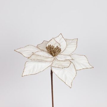 ΑΛΕΞΑΝΔΡΙΝΟ ΙΒΟΥΑΡ