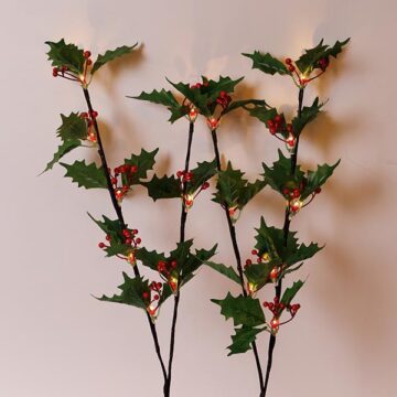 2 ΚΛΑΔΙΑ ΠΡΑΣΙΝΑ ΜΕ ΚΟΚΚΙΝΑ ΜΟΥΡΑ H75cm