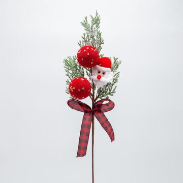 ΠΙΚΑΚΙ ΜΕ ΑΓΙΟ ΒΑΣΙΛΗ