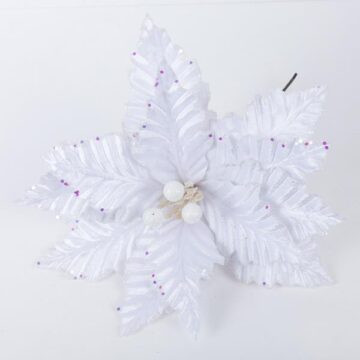 ΑΛΕΞΑΝΔΡΙΝΟ