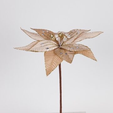 ΛΟΥΛΟΥΔΙ ΒΕΛΟΥΔΙΝΟ