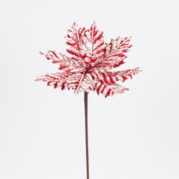 ΑΛΕΞΑΝΔΡΙΝΟ CANDY