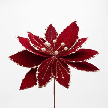 ΛΟΥΛΟΥΔΙ ΒΕΛΟΥΔΙΝΟ ΜΠΟΡΝΤΟ