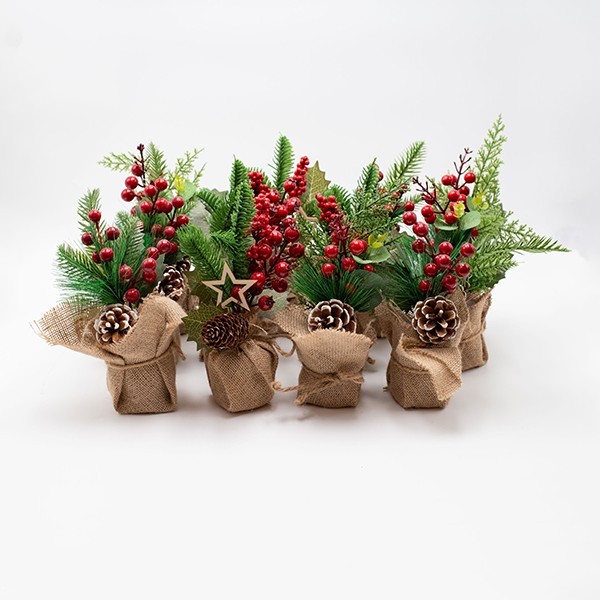 cf87944d0d404fee846dc4fef98818a7 DISPLAY BOX